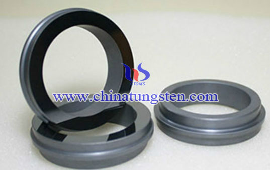 59U石墨碳化矽泵用密封環圖片 59U石墨碳化矽泵用密封環圖片